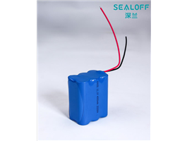 18650-3S2P-4000mAh.